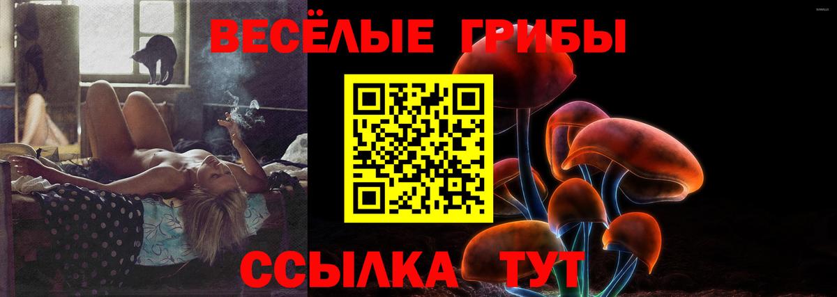 Галлюциногенные грибы мухоморы  Вход с VPN  Кольчугино 