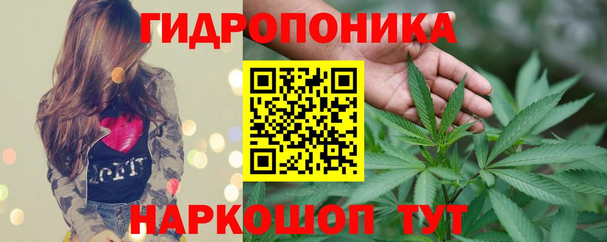 Канабис MAZAR Кольчугино