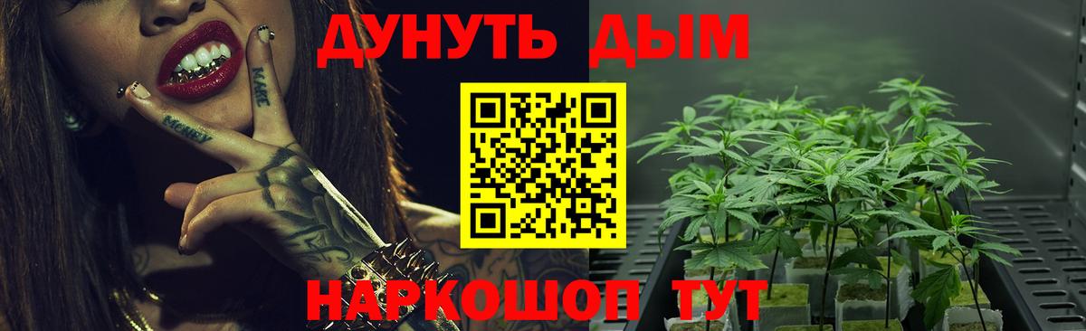 Каннабис конопля  Вход с VPN  Канабис OG Kush  Кольчугино  Бошки марихуана марихуана  Бошки Шишки Ganja 